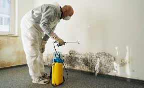 Trusted Atherton, CA Mold Remediation Experts