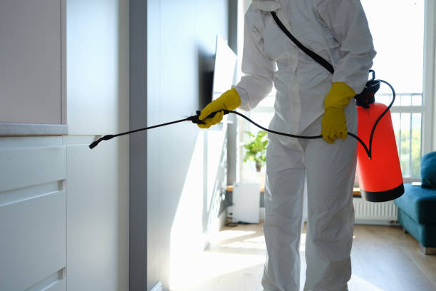 Mold Remediation for Vacation Homes in Atherton, CA